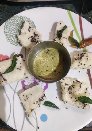 A picture of White dhokla.