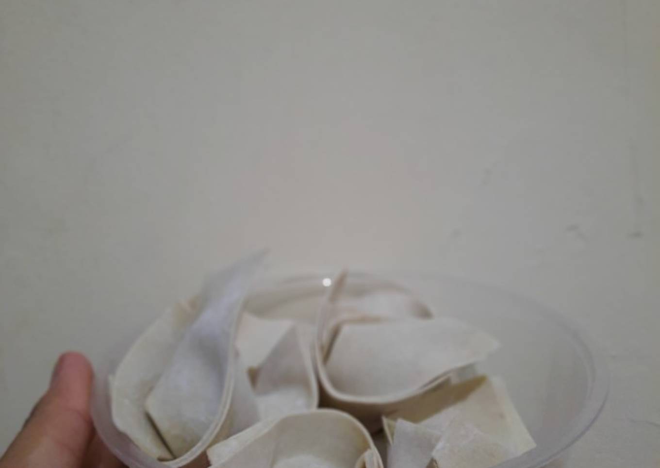 Pangsit isi udang dan ayam