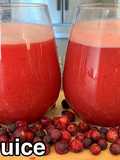 Falsay Ka Sharbat/ Falsa (Grewia) Juice