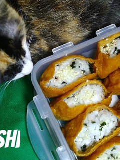 A picture of Inari Sushi.