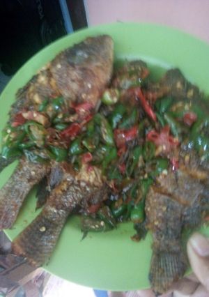 Foto resep Mujair masak setan