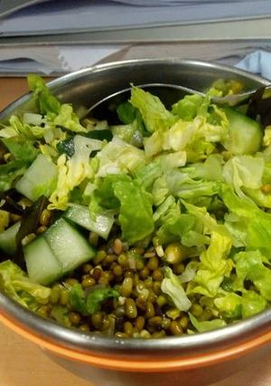 A picture of Fresh green lentil salad.