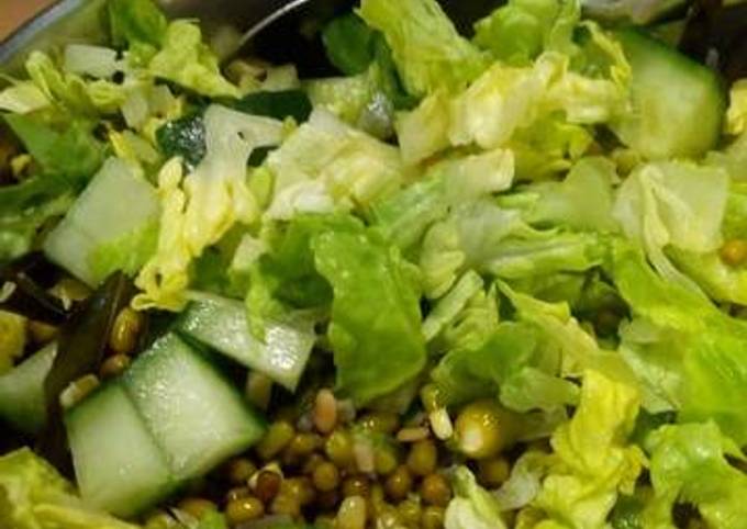 Fresh green lentil salad