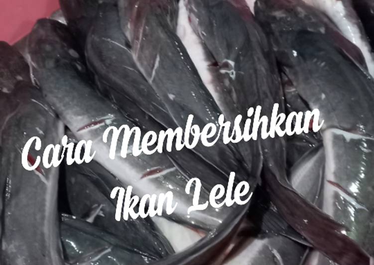 Resep Cara membersihkan ikan lele yang Bisa Manjain Lidah