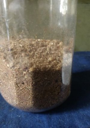 শাহী মসলা গুঁড়ো (shahi mashla guro recipe in Bengali) রেসিপির প্রধান ছবি