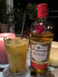 Gin Tonic exótico con menta y maracuyá