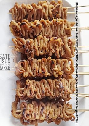 Foto resep Sate Usus Bakar Bumbu Bacem