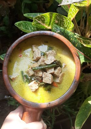 Foto resep Lodeh tempe/tahu/ikan sepat/ikan pe