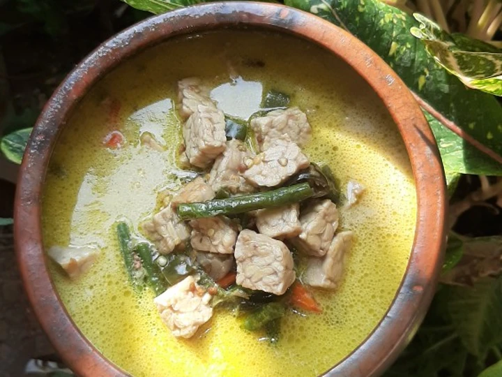 Langkah Mudah untuk Membuat Resep Lodeh tempe/tahu/ikan sepat/ikan pe yang Bikin Ngiler Anti Ribet, Lezat