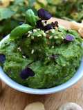 Basilikum Pesto
