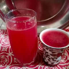 A picture of Falsa Squash.