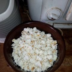 Popcorn A picture of Popcorn.