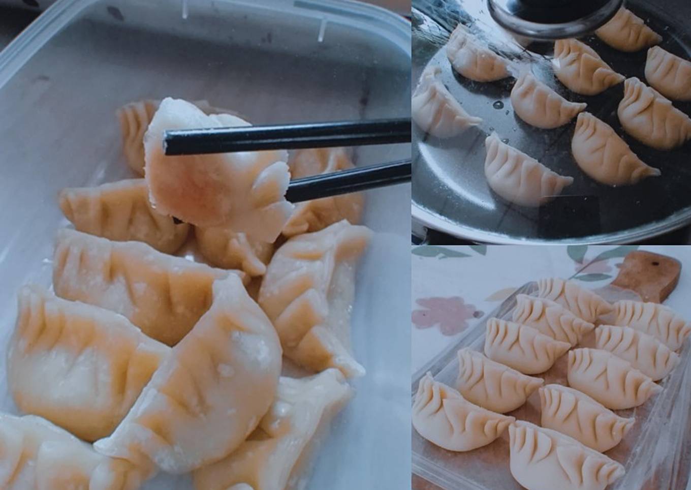 Gyoza ala-ala