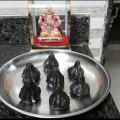 A picture of Mava chocolate modak.