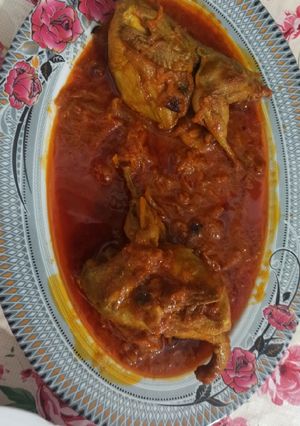 عکسی از دستور بلدرچین