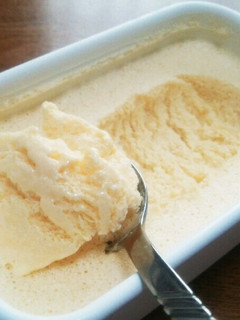 A picture of No Heavy Cream Needed! Easy Fluffy Vanilla Ice Cream.