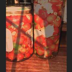 گوجه شور گیلاسی-レシピのメイン写真