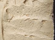 A picture of brown sugar frosting