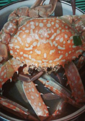 Foto resep Sup Rajungan Saus Tiram