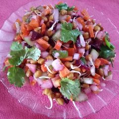 A picture of Chana Sprout veg salad.