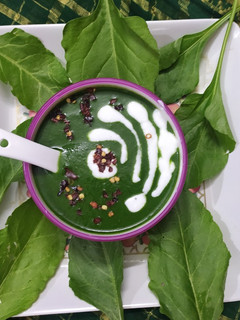 પાલક સુપ (Palak Soup Recipe In Gujarati) રેસીપી મુખ્ય ફોટો