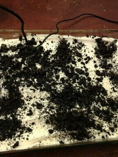 A picture of Dirt pudding.