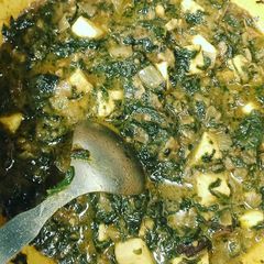 Palak paneer A picture of Palak paneer.