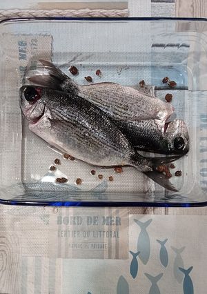 Foto di Pesce occhiata in forno