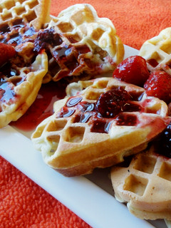 A picture of Waffles.