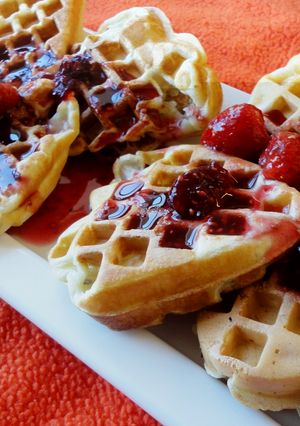 A picture of Waffles.