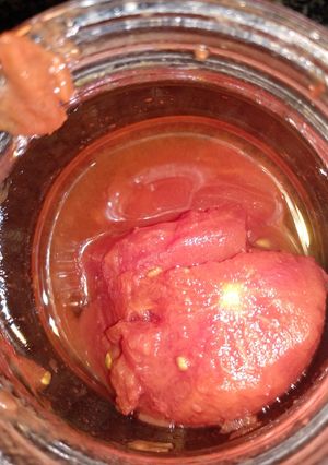 Foto principal de Tomates en conserva ( como los de lata🐣🐤