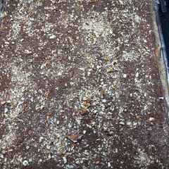 A picture of EBT’s Chocolate “Crack” Candy.