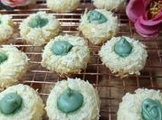 Gambar rose pistachio