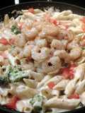 Mostaccioli Alfredo w/ caribbean shrimp