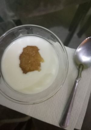 A picture of Plain Yogurt.