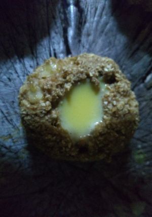 Una foto de Masita de avena rellena de flan