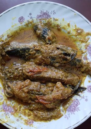 মোচার ভেতরের সাদা অংশটির ঝাল(mochar bhetorer sada ongsher jhaal recipe in Bengali) রেসিপির প্রধান ছবি