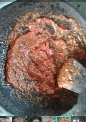 Foto resep Sambal tomat terasi matang