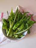 Pasta con puntarelle saltate
