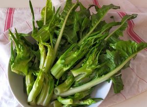 Foto di Pasta con puntarelle saltate