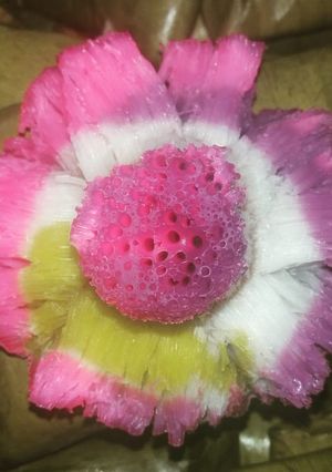 Foto resep Bikang Mawar
