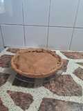 Tarta integral bicolor de zapallo y espinaca