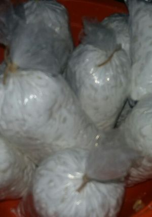Foto resep Membuat tempe sendiri