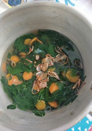 Foto resep Sayur katuk bening asi booster
