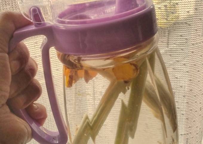 Lemongrass Ginger and Turmeric Infused Water