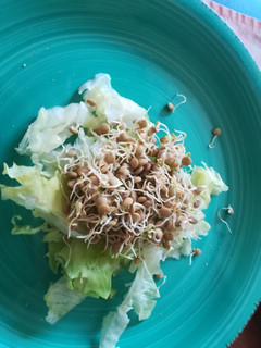 Una foto de Ensalada sencilla de lechuga con lentejas germinadas