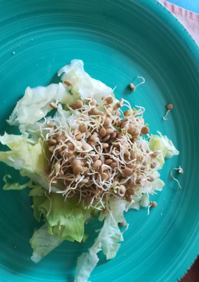 Una foto de Ensalada sencilla de lechuga con lentejas germinadas