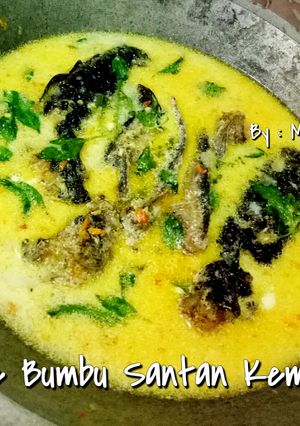 Foto resep Lele Bumbu Santan Kemangi