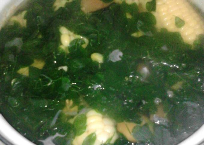 Resep Sayur Bening Daun Kelor Oleh Aprilia Budiman Cookpad 8992