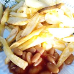 A picture of Fries and baked beans.